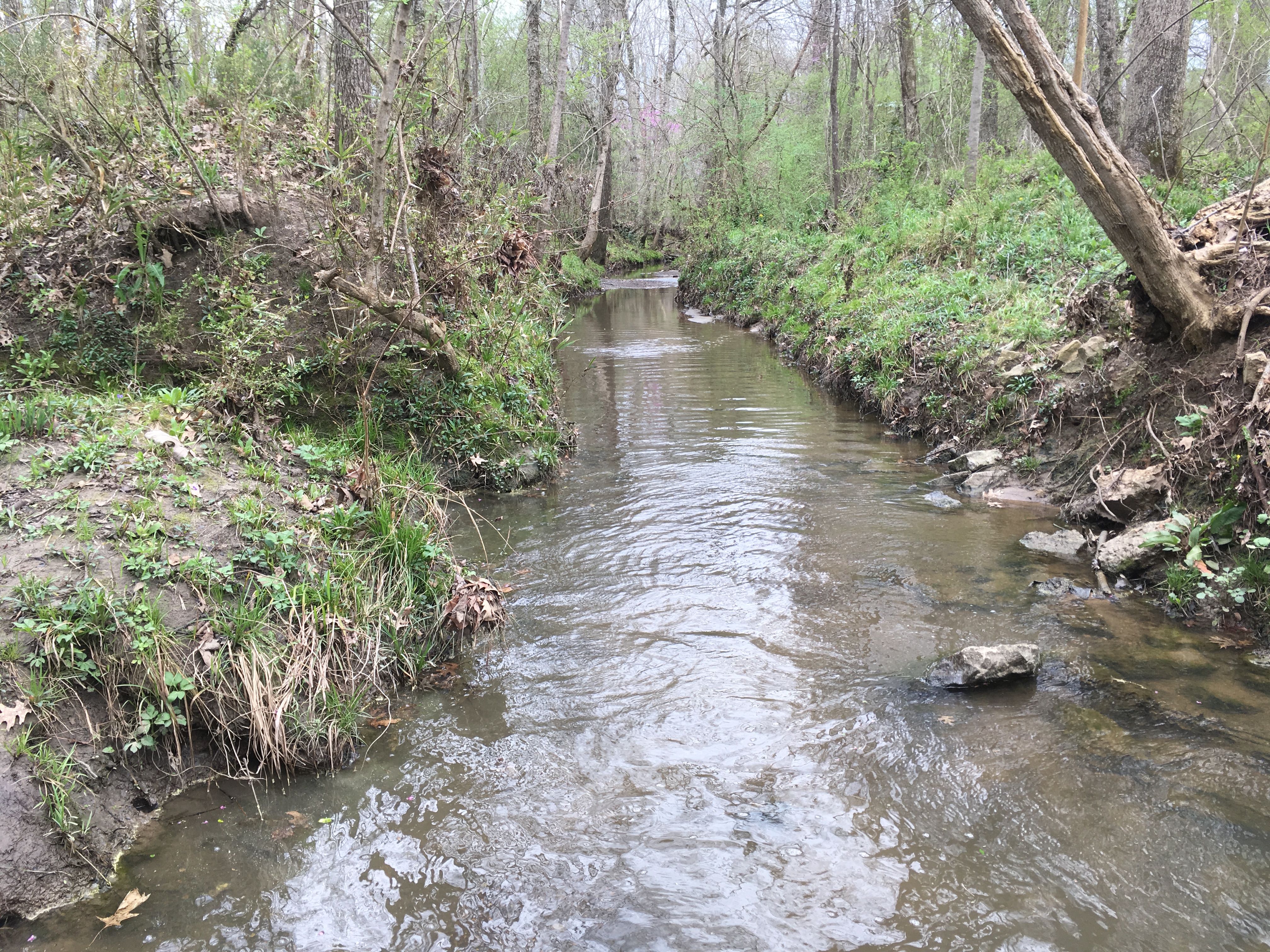 Watershed Conservation Planning